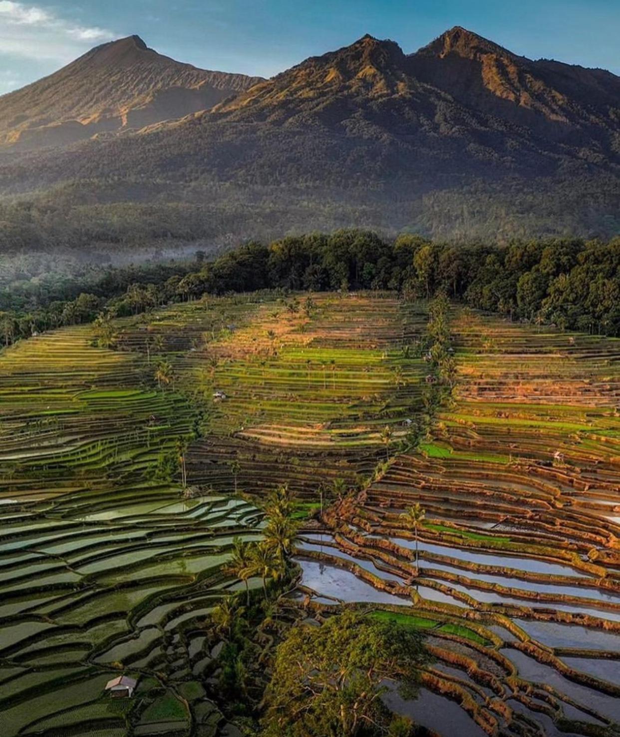 Pondok Senaru Cottages Bagian luar foto