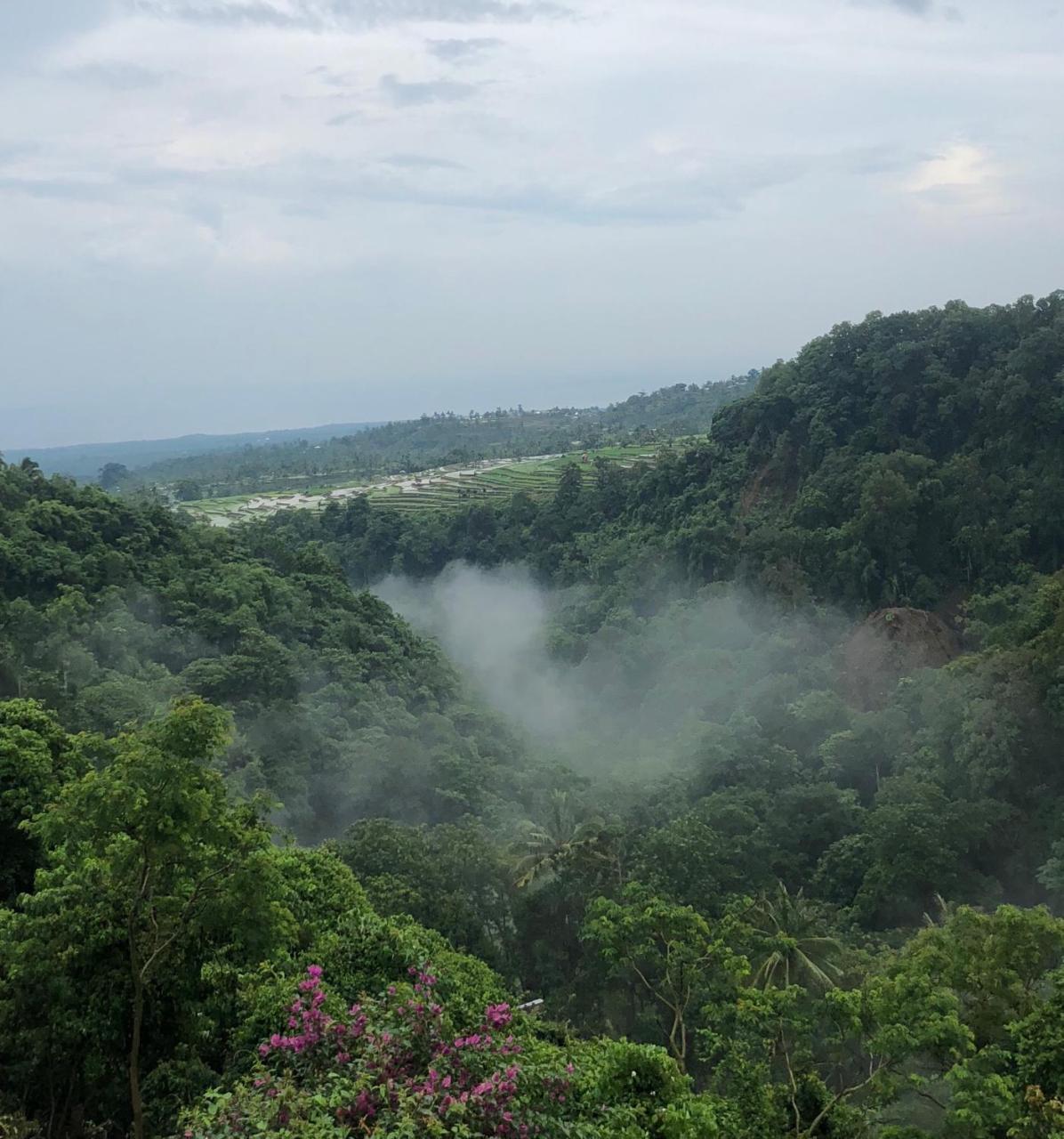 Pondok Senaru Cottages Bagian luar foto